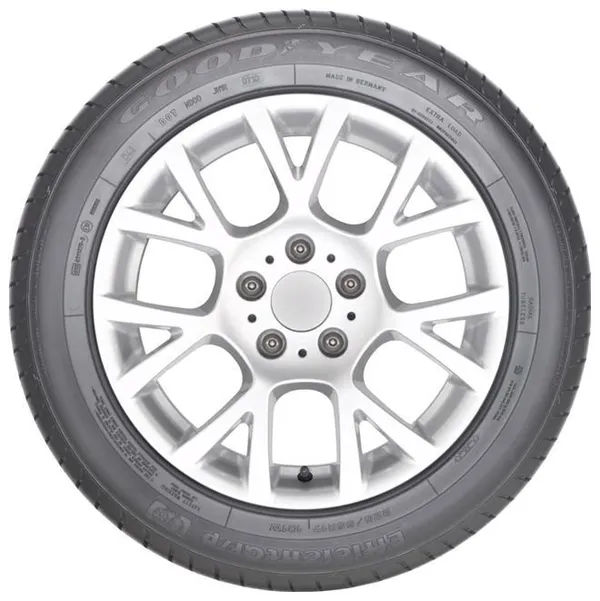 Goodyear EfficientGrip Performance 205/55 R19